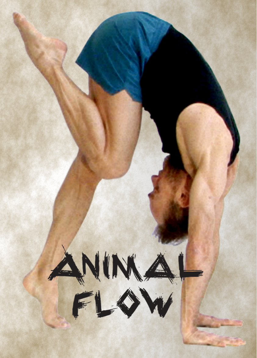 Flyer_Animal Flow_recto